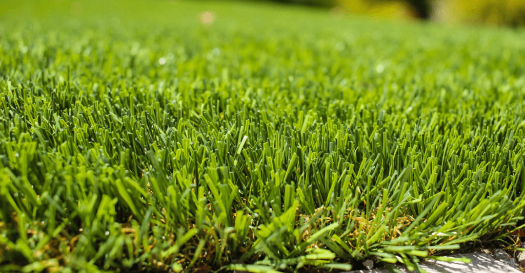 What Is the Ideal Base for Artificial Turf? US Turf San Diego