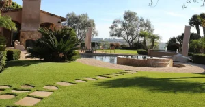 Landscape with a pool, manicured lawn, and decorative plants under a blue sky