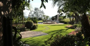 A landscaped garden with pathways, grass, and various plants under clear skies
