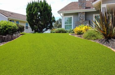Artificial Turf Projects
