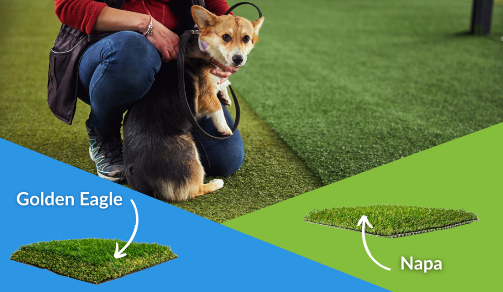 Best artificial grass for pets