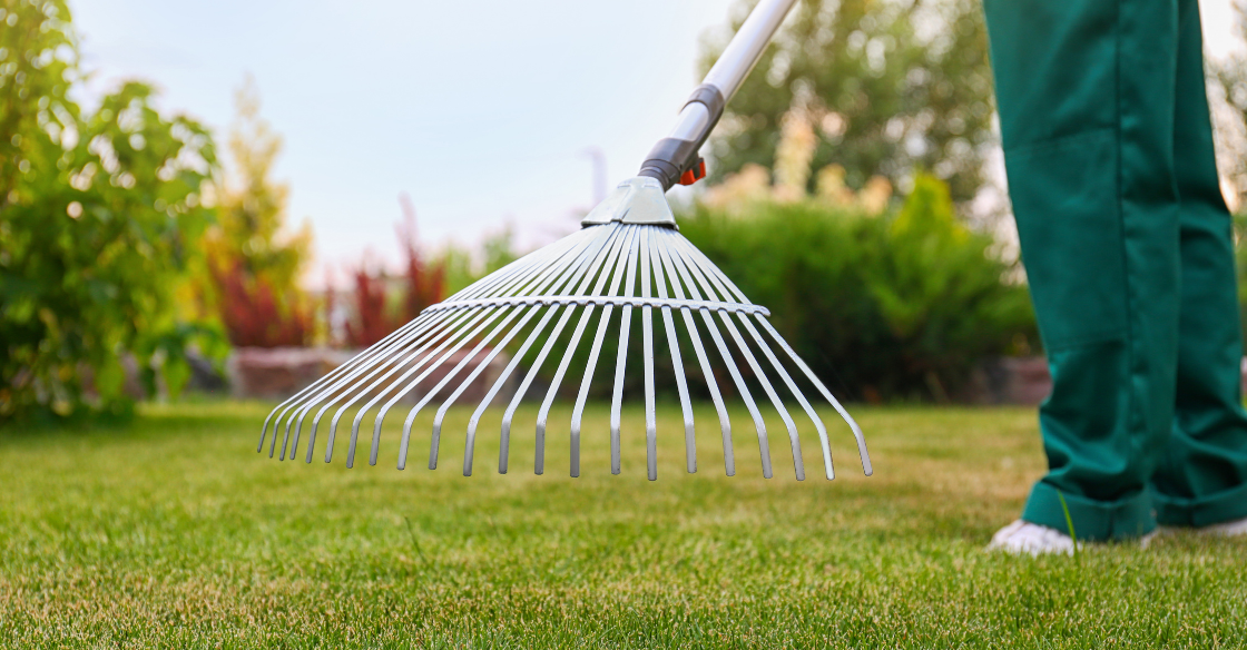 Homeowner rakes artificial lawn