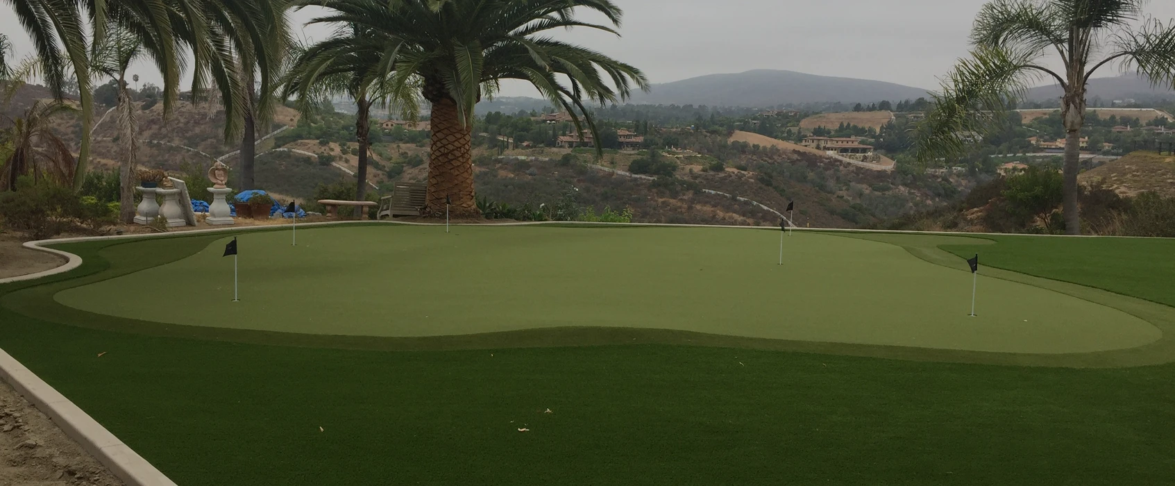 Golf putting green with palm trees, hills, and a cloudy sky in the background