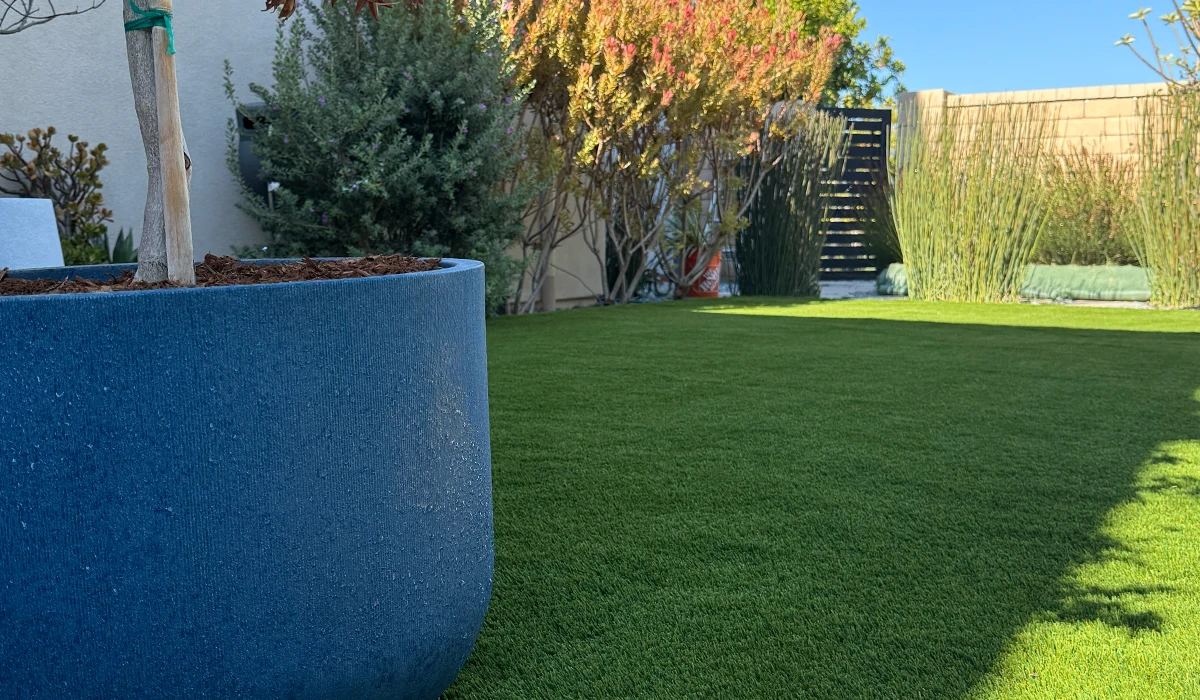 Green lawn area with a large blue planter and various shrubs in the background