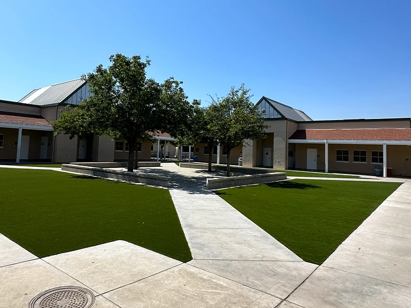 Courtyard with trees, grass, and walkways connecting surrounding buildings. Clear sky