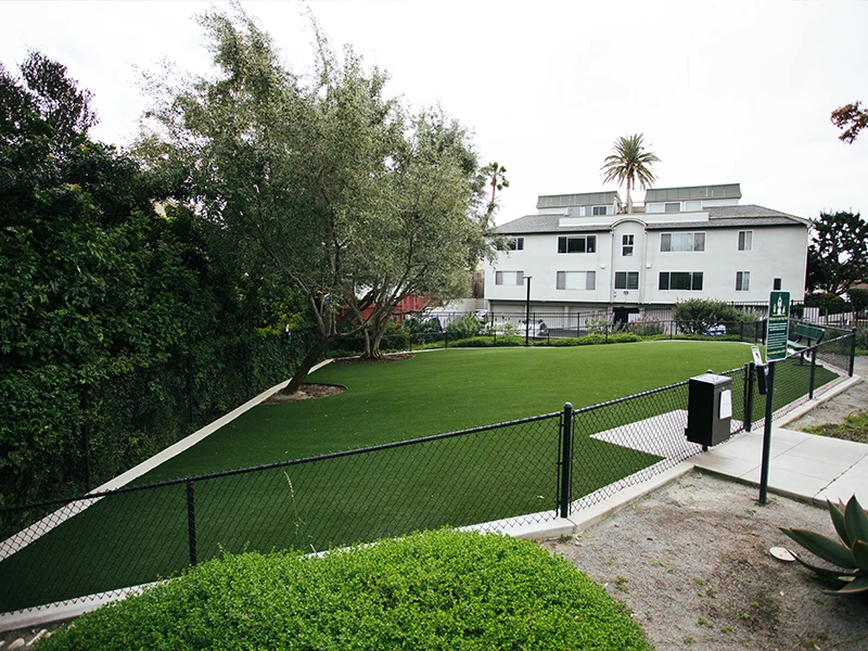 Green turf area enclosed by a fence, with trees and a multi-story building in the background