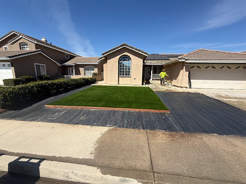 Front yard of a house with new grass, bordered by a black plastic edge and driveway
