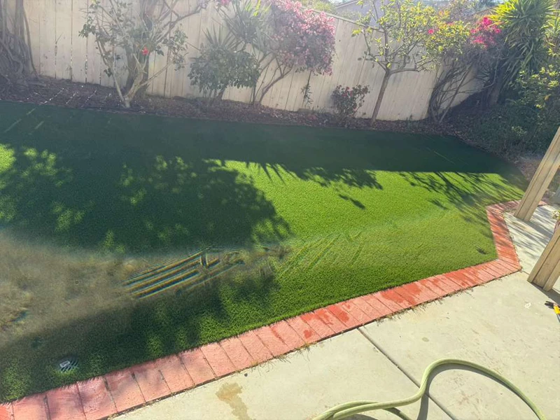 View of a green lawn with a brick border, and trees and shrubs in the background