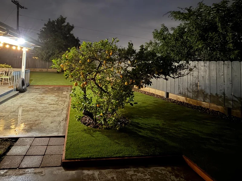 A small tree with fruit in a grassy yard at night, with a patio in the background