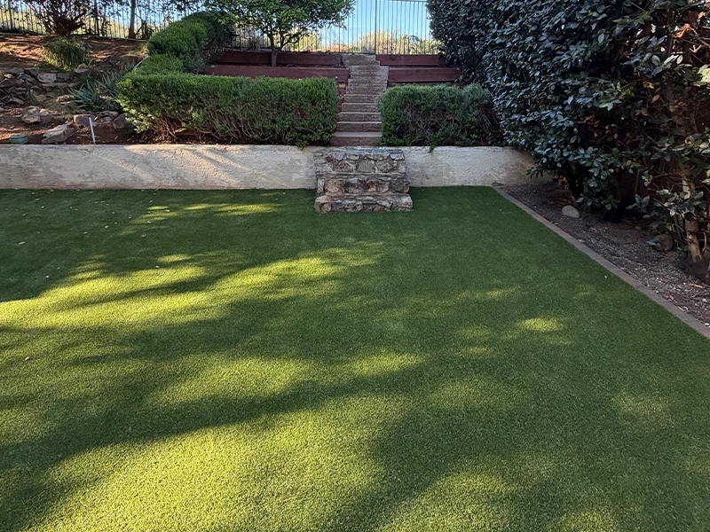 Lawn area with green grass, stone steps, and surrounding shrubs