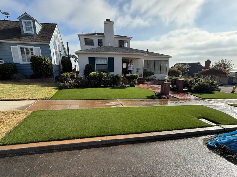Front Yard Pet Friendly Area
